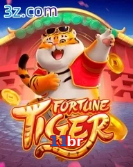 11br